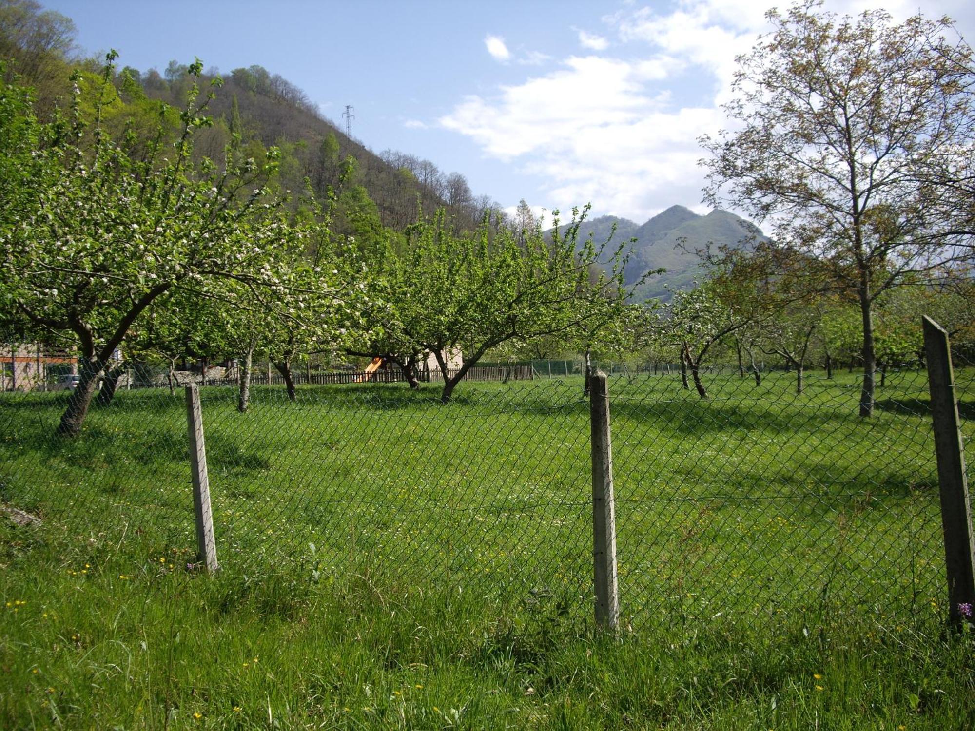 Casa Rural El Canton Cangas de Onis Ngoại thất bức ảnh
